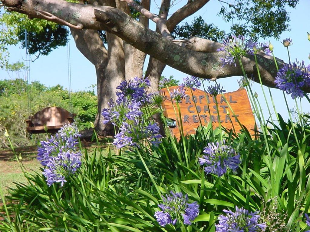 Tropical Coast Retreat - Pet Friendly - Adult Only Pension Kingscliff Buitenkant foto