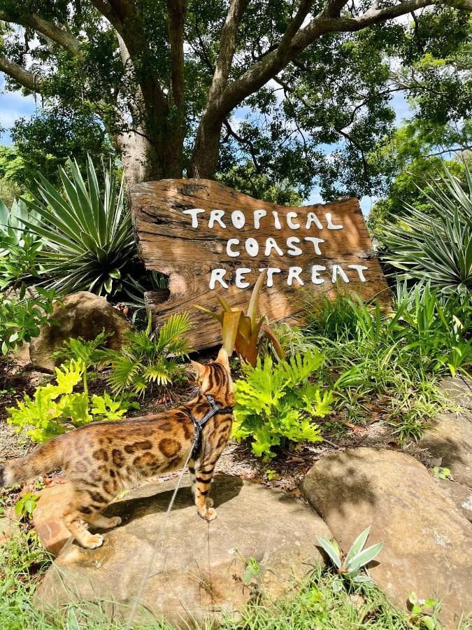 Tropical Coast Retreat - Pet Friendly - Adult Only Pension Kingscliff Buitenkant foto
