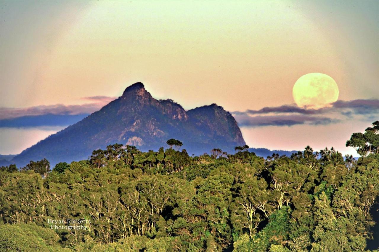 Tropical Coast Retreat - Pet Friendly - Adult Only Pension Kingscliff Buitenkant foto