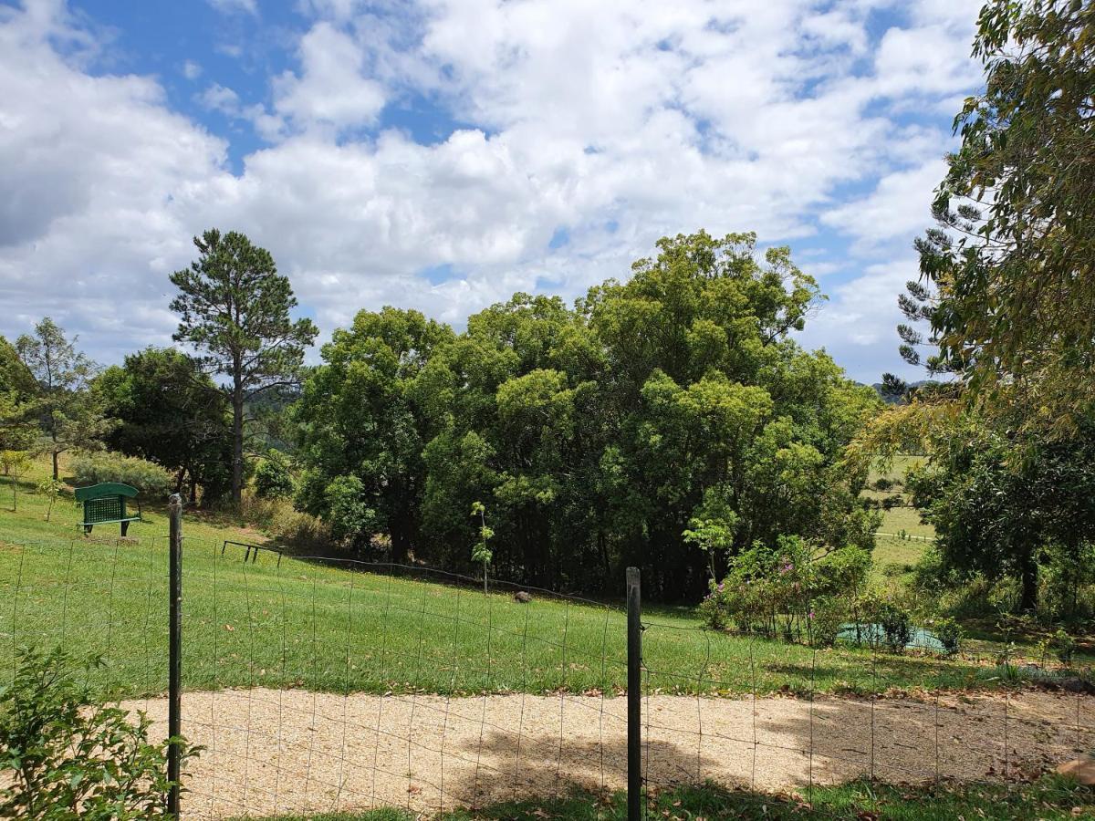 Tropical Coast Retreat - Pet Friendly - Adult Only Pension Kingscliff Buitenkant foto