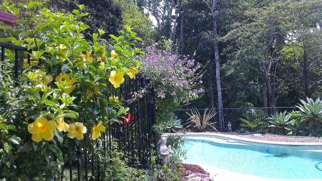 Tropical Coast Retreat - Pet Friendly - Adult Only Pension Kingscliff Buitenkant foto