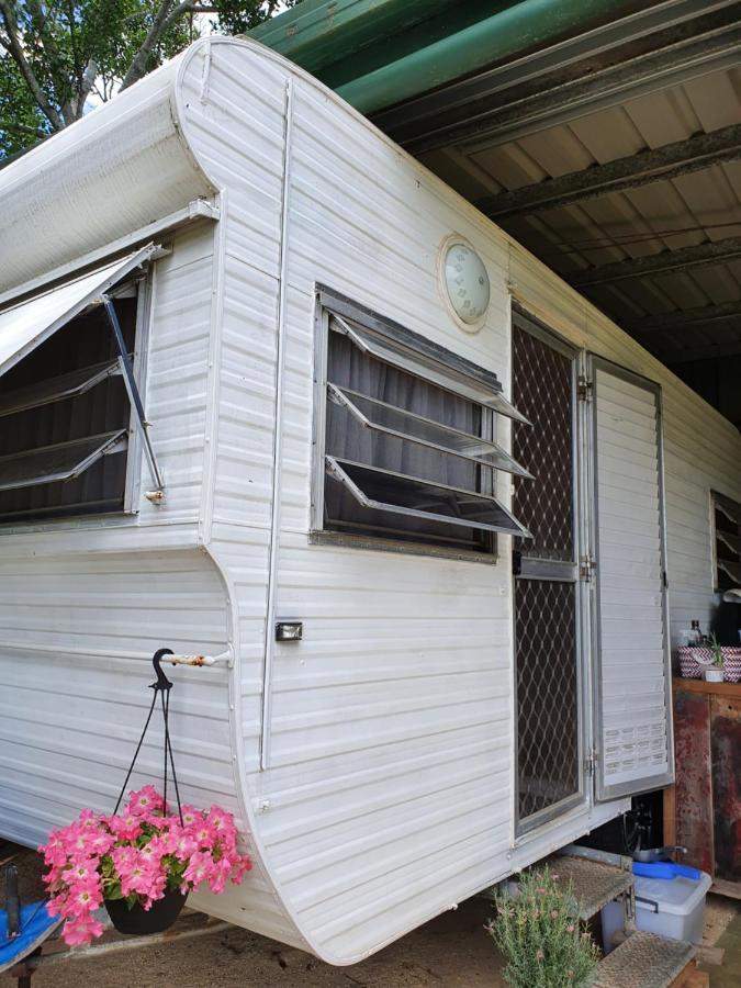 Tropical Coast Retreat - Pet Friendly - Adult Only Pension Kingscliff Kamer foto