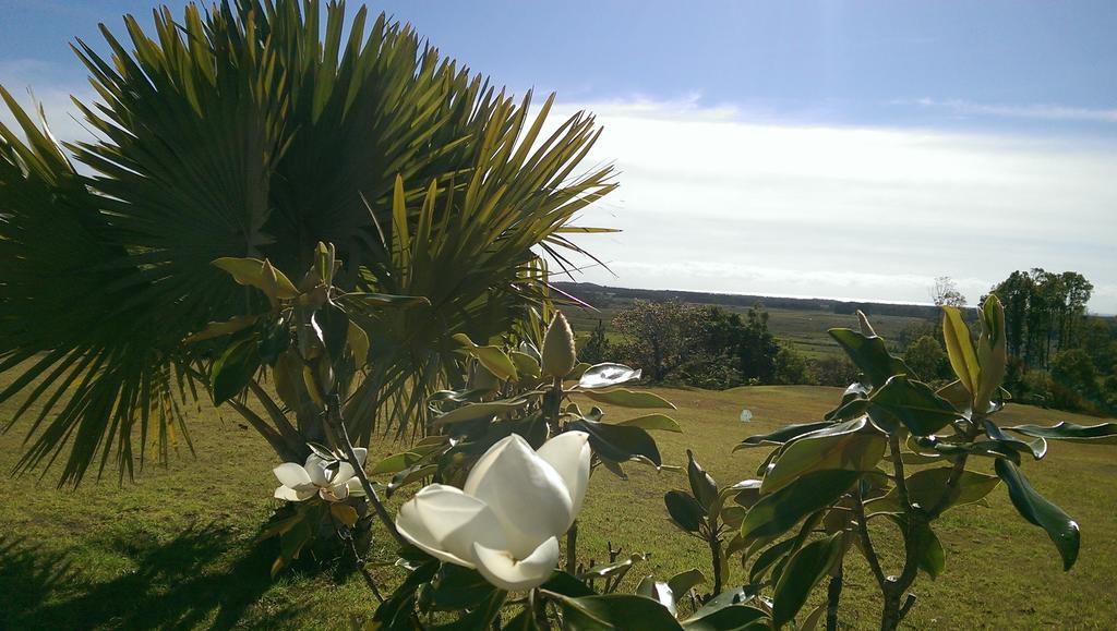Tropical Coast Retreat - Pet Friendly - Adult Only Pension Kingscliff Buitenkant foto